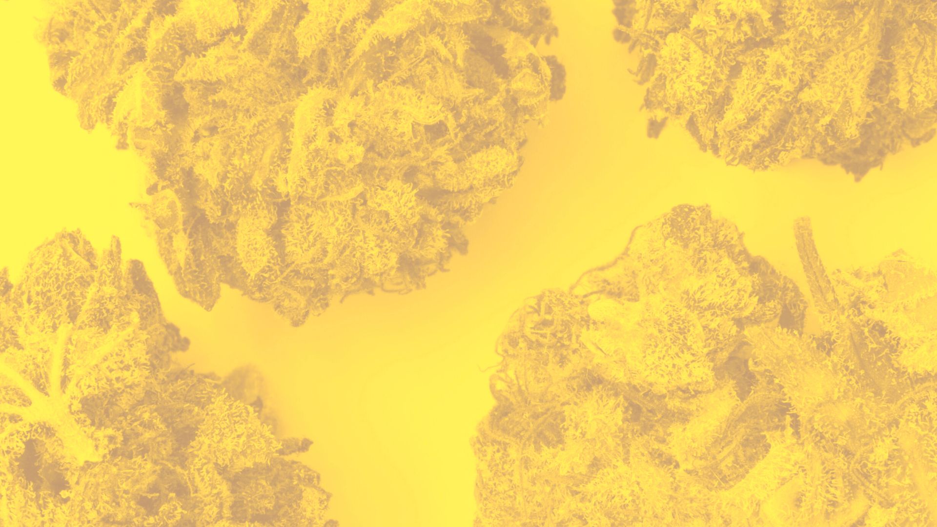 Supreme Greens - Background